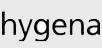 Hygena repairs